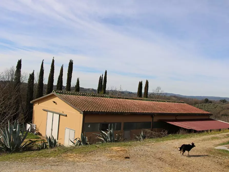 Immagine 33 di Azienda agricola in vendita  a Poggibonsi