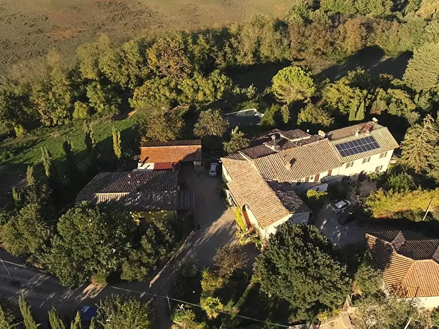 Immagine 12 di Azienda agricola in vendita  a Poggibonsi