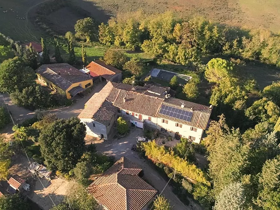 Immagine 13 di Azienda agricola in vendita  a Poggibonsi