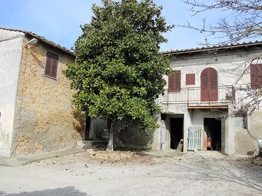 Immagine 17 di Azienda agricola in vendita  a Poggibonsi
