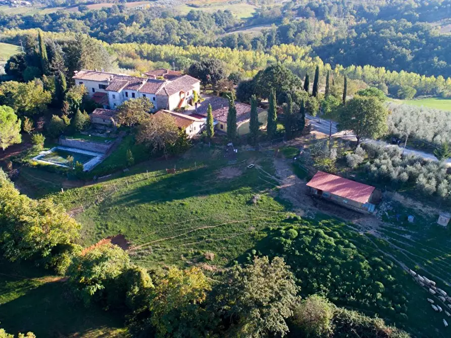 Immagine 6 di Azienda agricola in vendita  a Poggibonsi