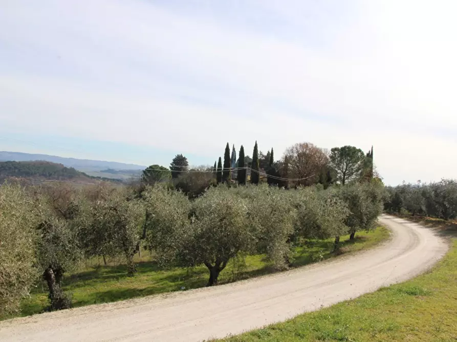 Immagine 38 di Azienda agricola in vendita  a Poggibonsi