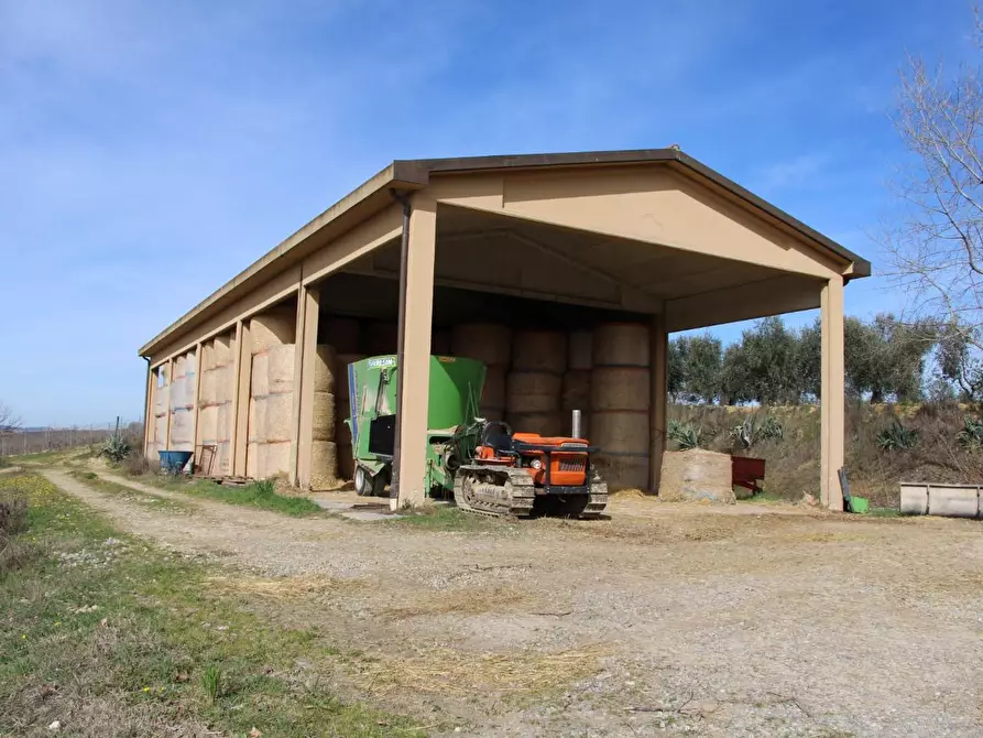 Immagine 34 di Azienda agricola in vendita  a Poggibonsi