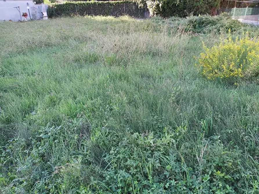 Immagine 4 di Terreno residenziale in vendita  a Vicopisano