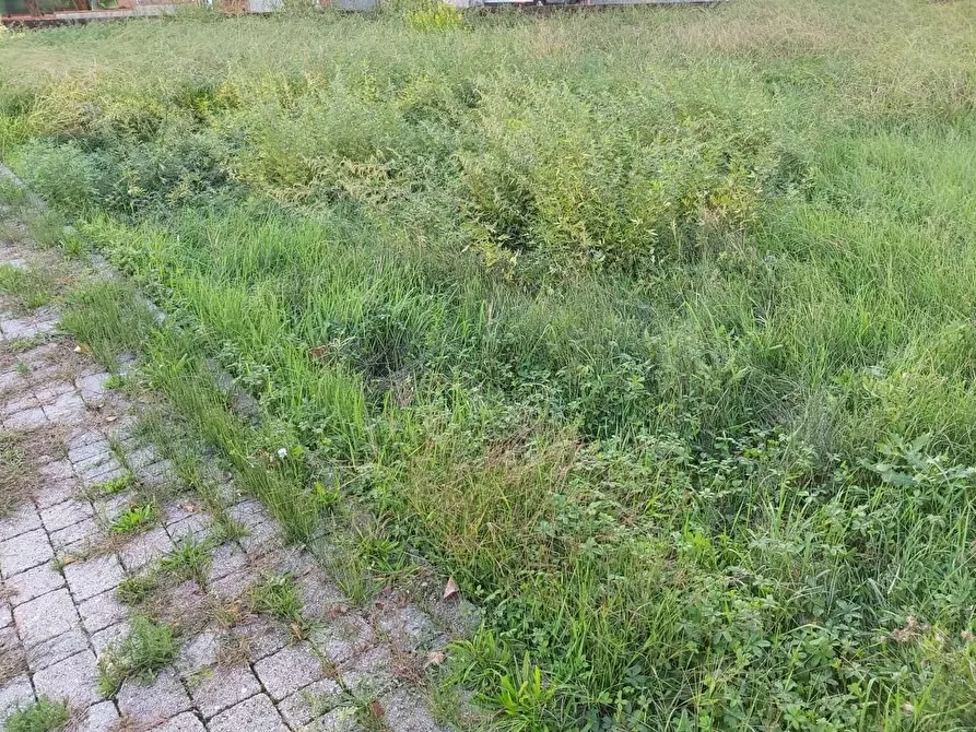 Immagine 5 di Terreno residenziale in vendita  a Vicopisano