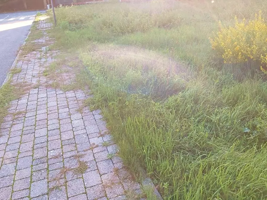 Immagine 6 di Terreno residenziale in vendita  a Vicopisano