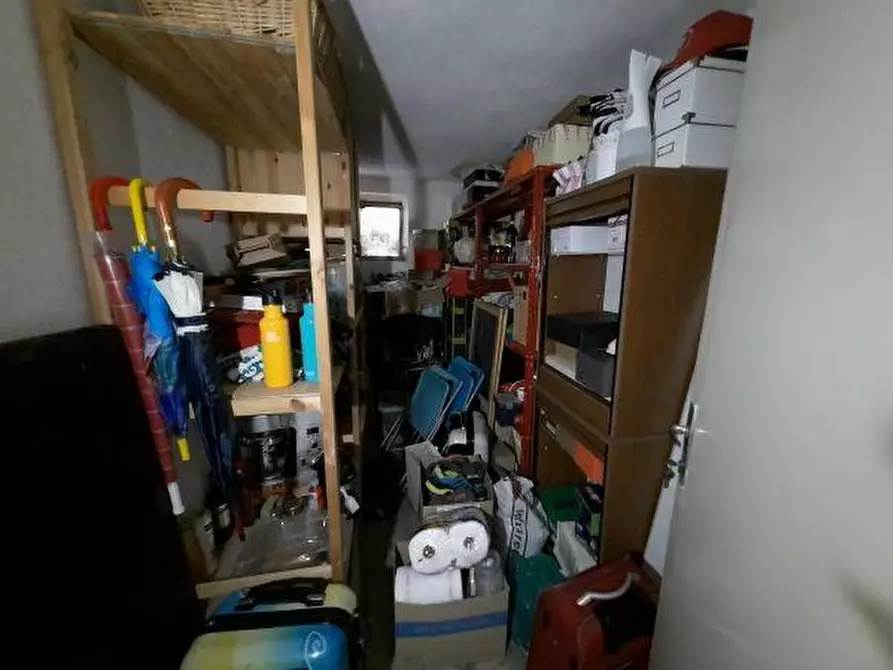 Immagine 18 di Appartamento in vendita  a Rosignano Marittimo