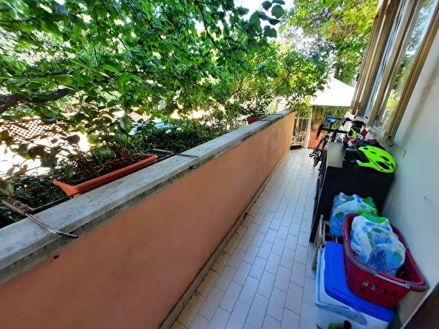 Immagine 17 di Appartamento in vendita  a Rosignano Marittimo