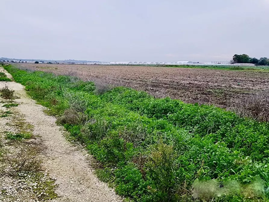 Immagine 1 di Terreno agricolo in vendita  a Calcinaia