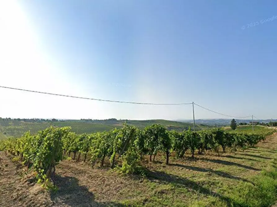 Immagine 2 di Terreno agricolo in vendita  a Cerreto Guidi