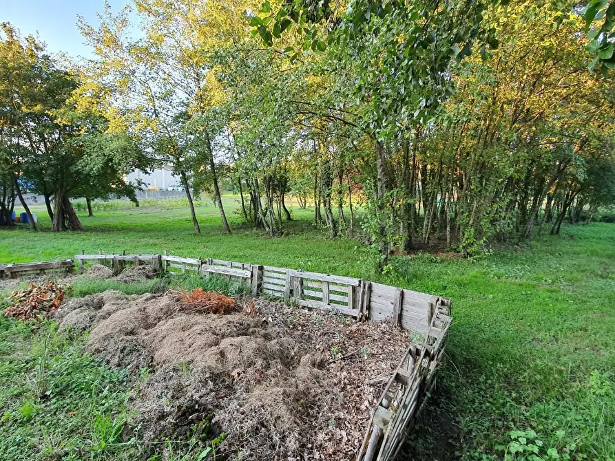 Immagine 21 di Attività artigianale in vendita  a Lamporecchio