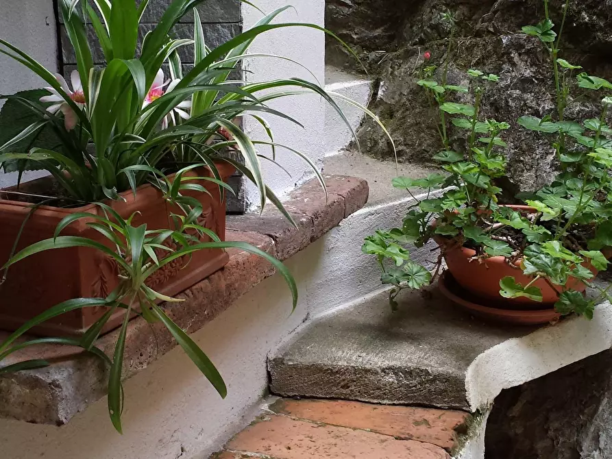 Immagine 9 di Porzione di casa in affitto  a Vecchiano