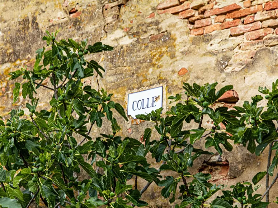 Immagine 13 di Casa colonica in vendita  a Montaione