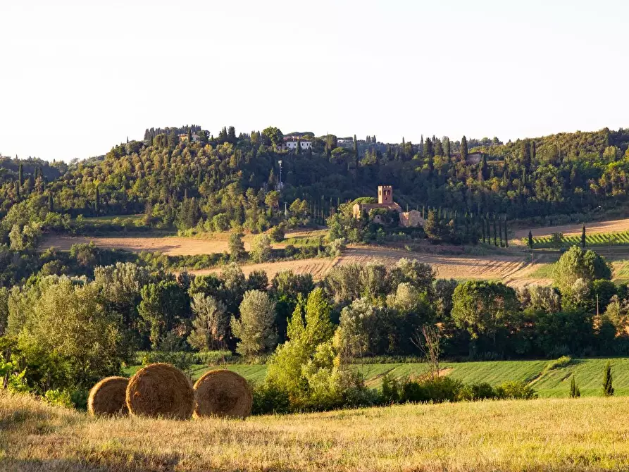 Immagine 12 di Casa colonica in vendita  a Montaione