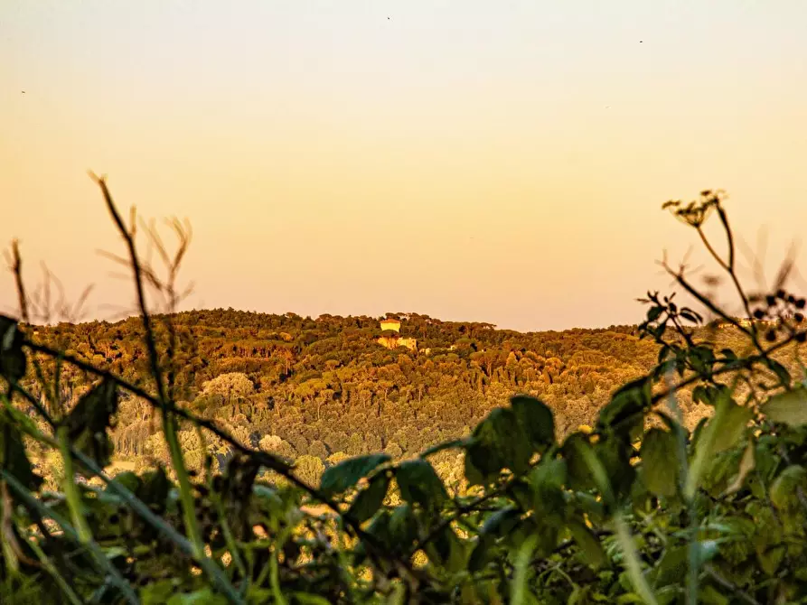 Immagine 14 di Casa colonica in vendita  a Montaione