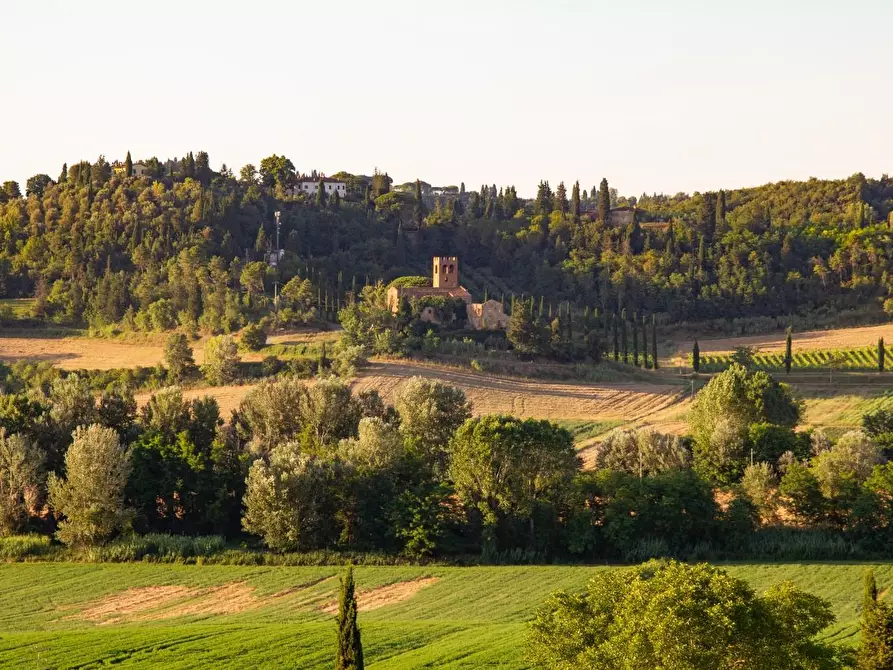 Immagine 11 di Casa colonica in vendita  a Montaione