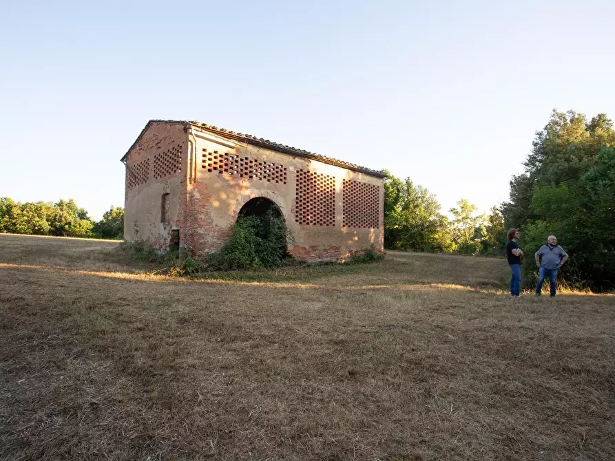 Immagine 18 di Casa colonica in vendita  a Montaione