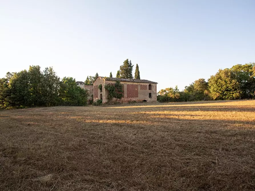 Immagine 17 di Casa colonica in vendita  a Montaione
