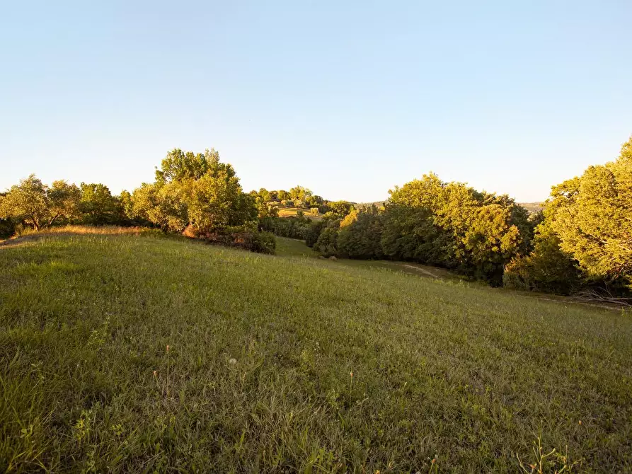 Immagine 16 di Casa colonica in vendita  a Montaione