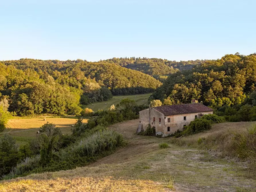 Immagine 3 di Casa colonica in vendita  a Montaione
