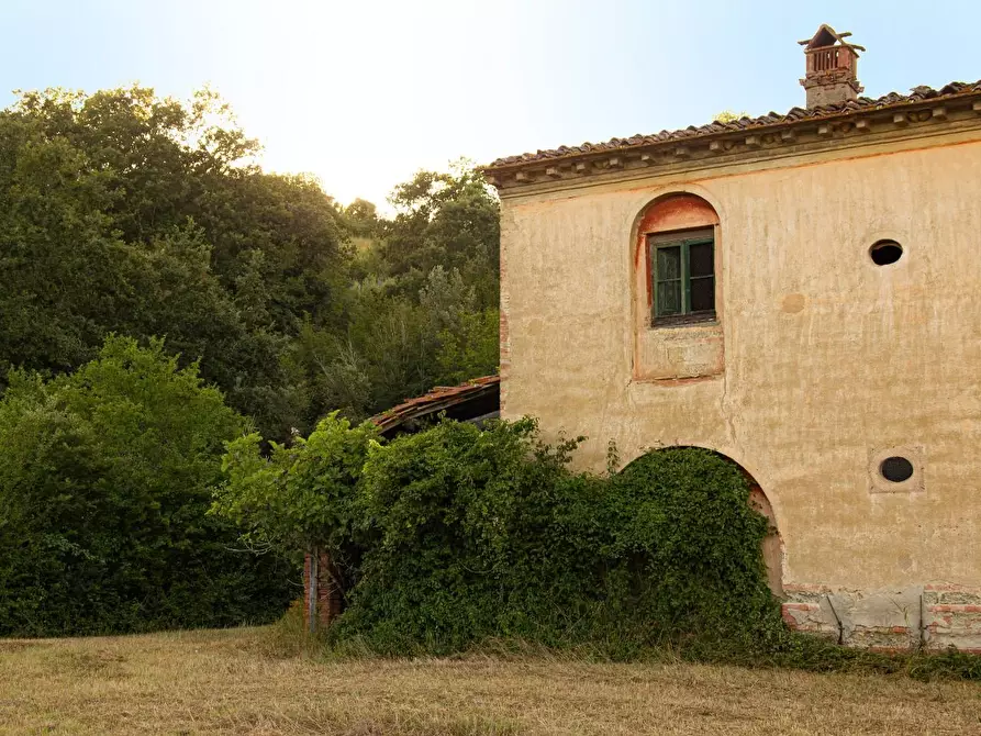 Immagine 9 di Casa colonica in vendita  a Montaione