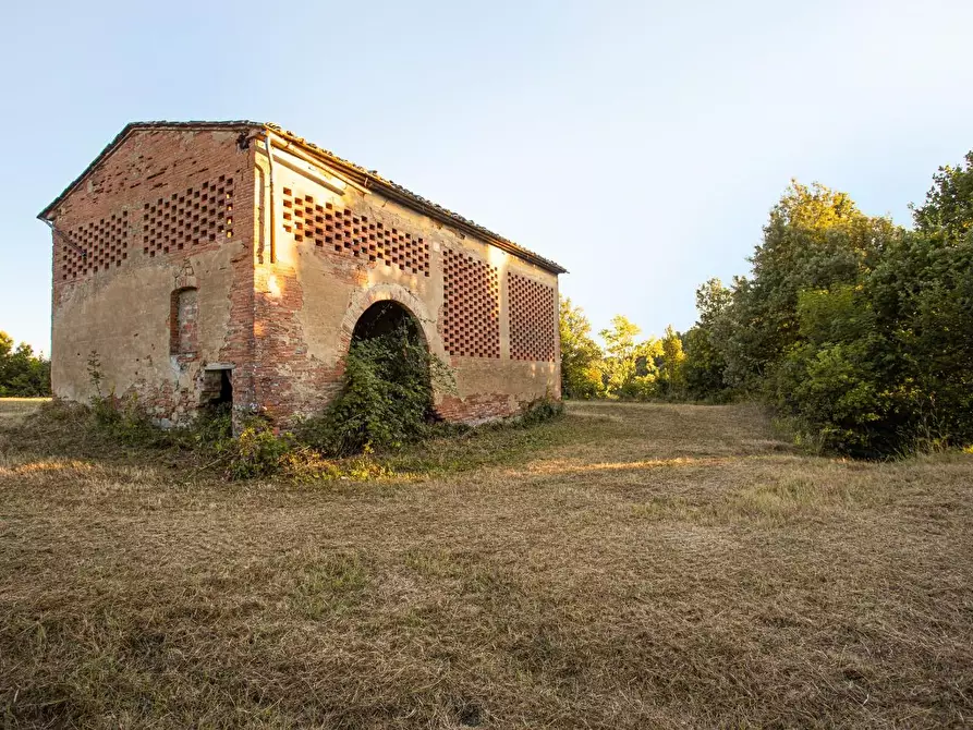 Immagine 19 di Casa colonica in vendita  a Montaione