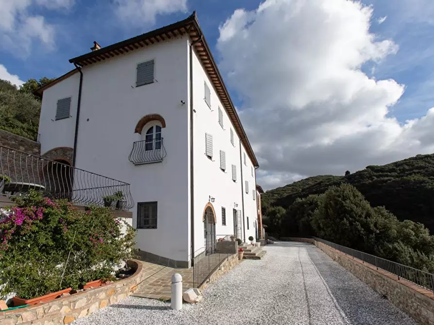 Immagine 3 di Albergo/B&B/Residence in vendita  a Pisa