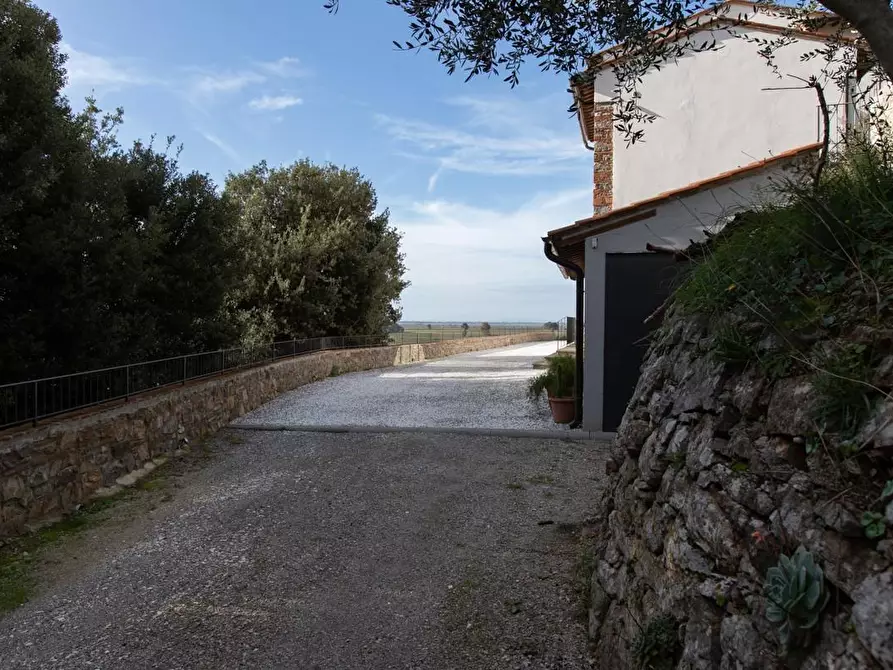 Immagine 19 di Albergo/B&B/Residence in vendita  a Pisa