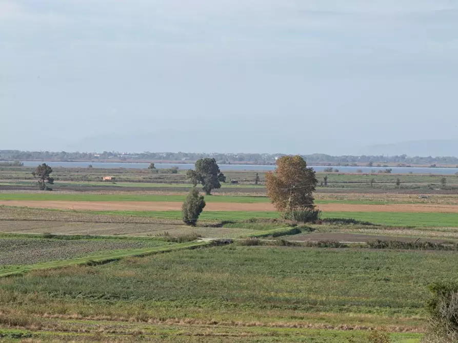 Immagine 20 di Albergo/B&B/Residence in vendita  a Pisa