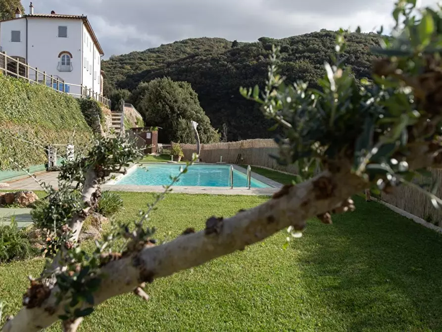 Immagine 2 di Albergo/B&B/Residence in vendita  a Pisa