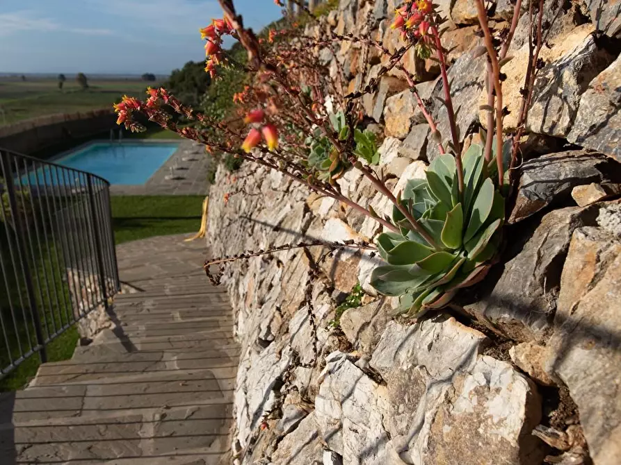 Immagine 65 di Albergo/B&B/Residence in vendita  a Pisa