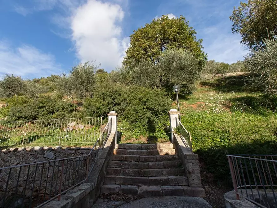 Immagine 53 di Albergo/B&B/Residence in vendita  a Pisa