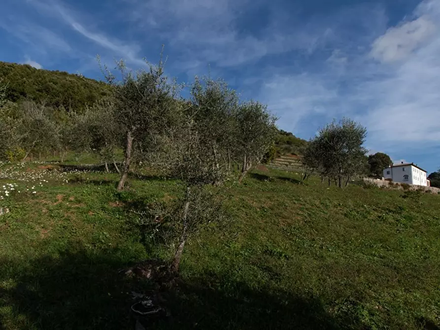 Immagine 62 di Albergo/B&B/Residence in vendita  a Pisa