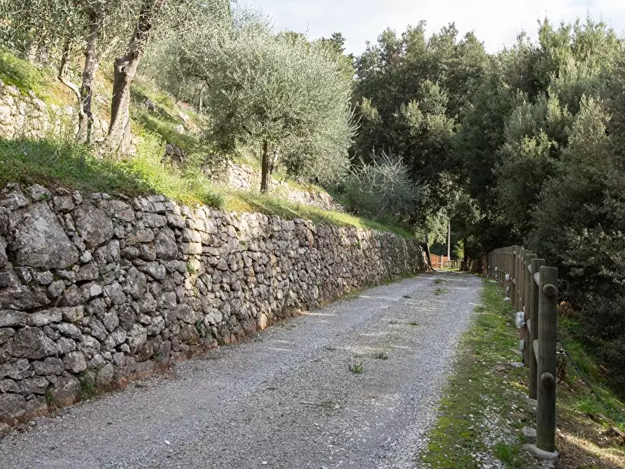 Immagine 18 di Albergo/B&B/Residence in vendita  a Pisa