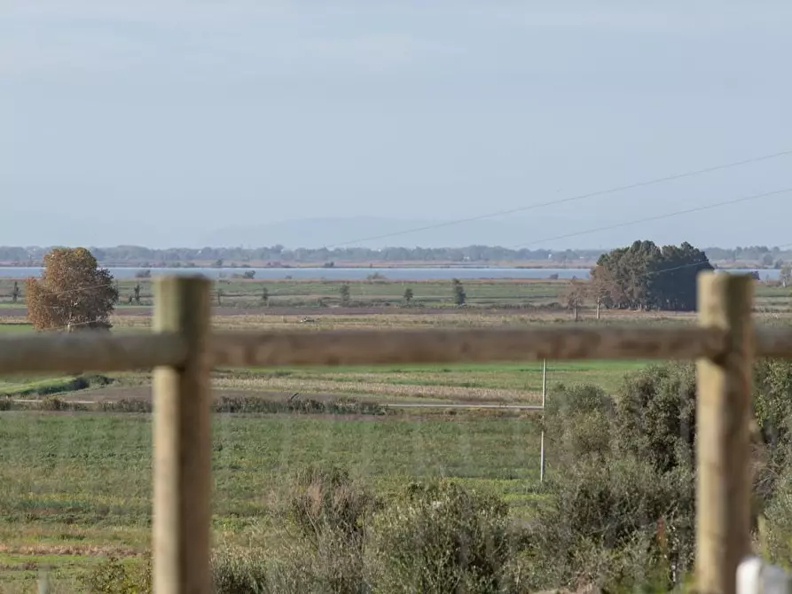 Immagine 21 di Albergo/B&B/Residence in vendita  a Pisa