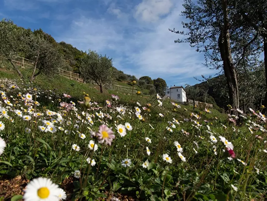 Immagine 63 di Albergo/B&B/Residence in vendita  a Pisa