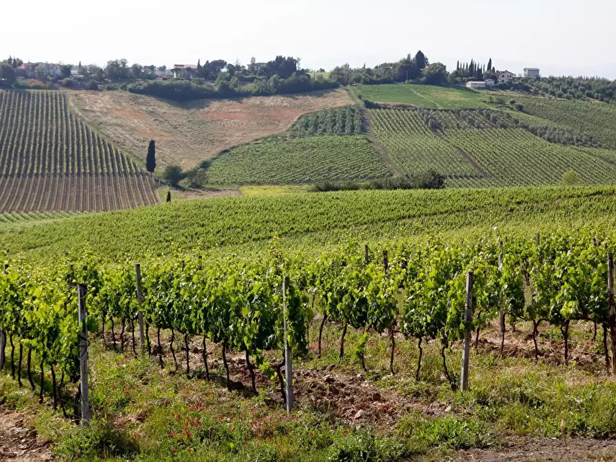 Immagine 5 di Casa colonica in vendita  a Vinci