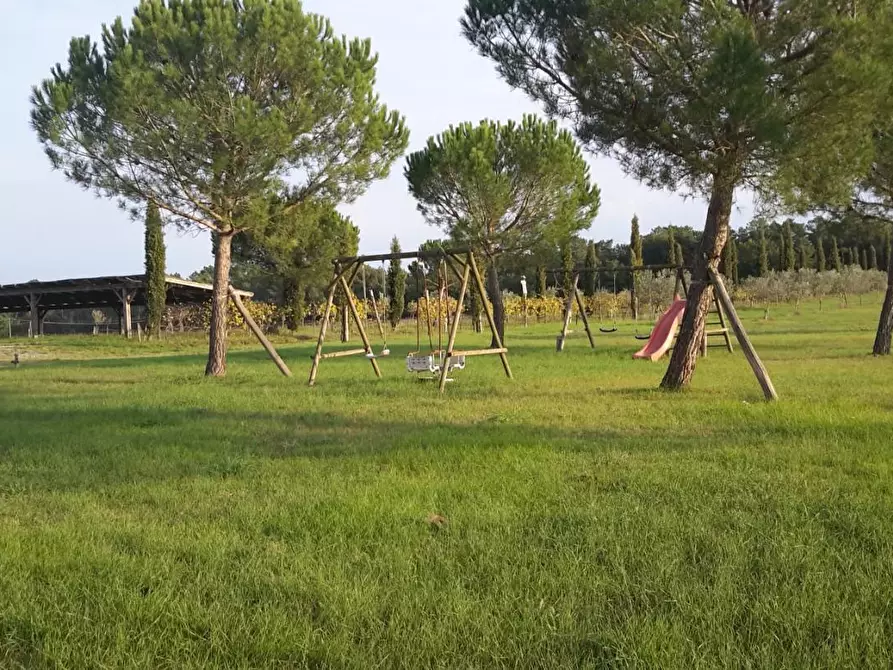 Immagine 1 di Rustico / casale in vendita  a Castiglione Del Lago