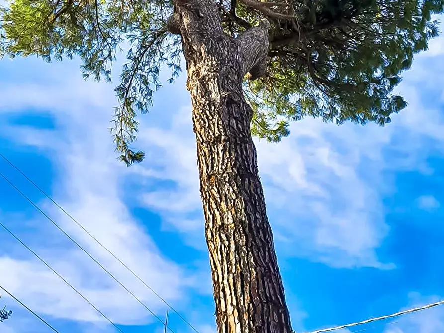 Immagine 12 di Appartamento in vendita  a San Miniato