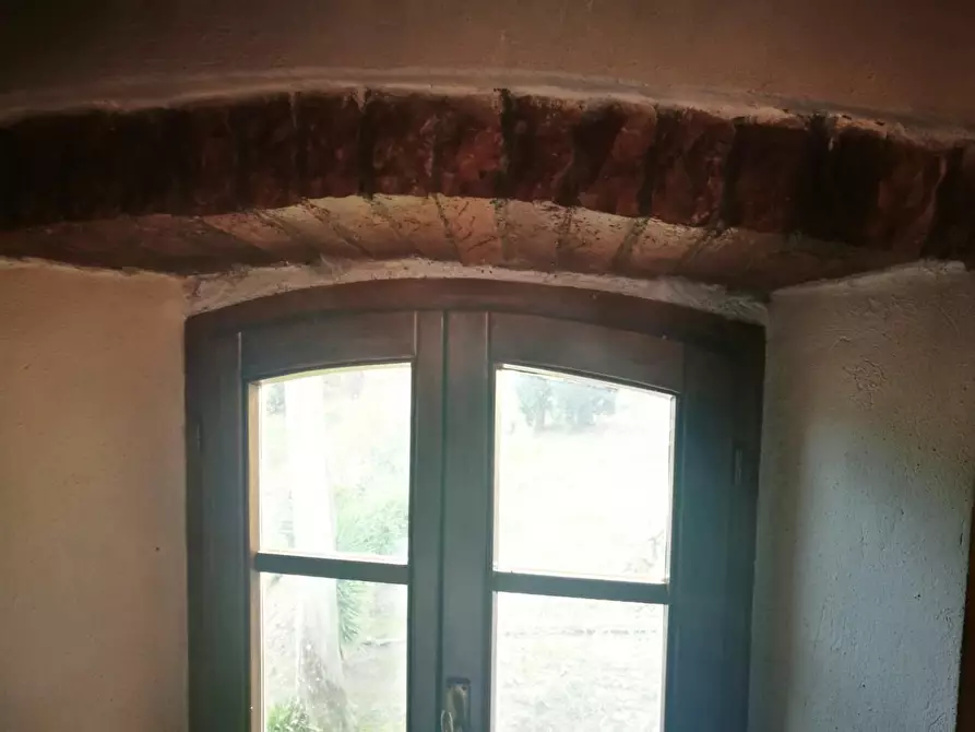 Immagine 57 di Casa colonica in vendita  a Volterra