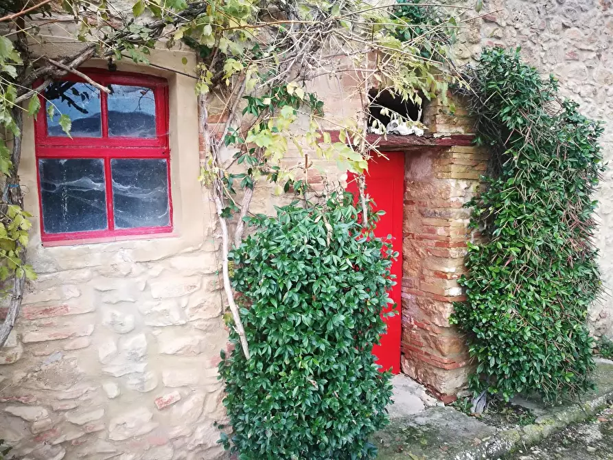 Immagine 76 di Casa colonica in vendita  a Volterra