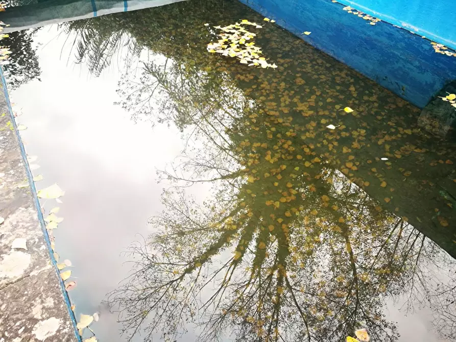 Immagine 21 di Casa colonica in vendita  a Volterra