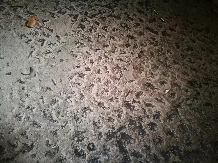 Immagine 27 di Casa colonica in vendita  a Volterra