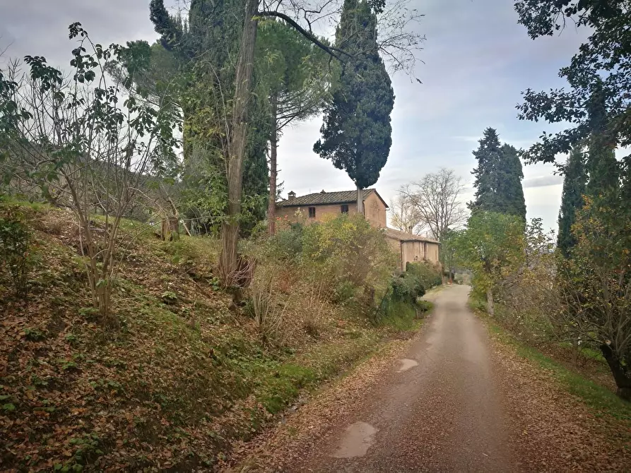 Immagine 20 di Casa colonica in vendita  a Volterra