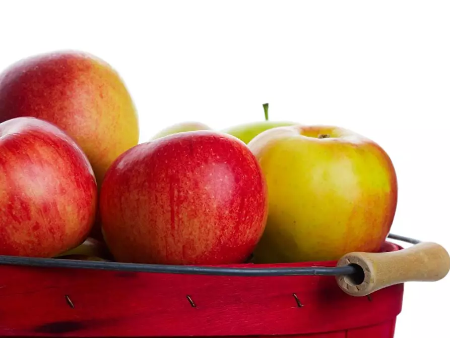 Immagine 6 di Alimentari in vendita  a Empoli