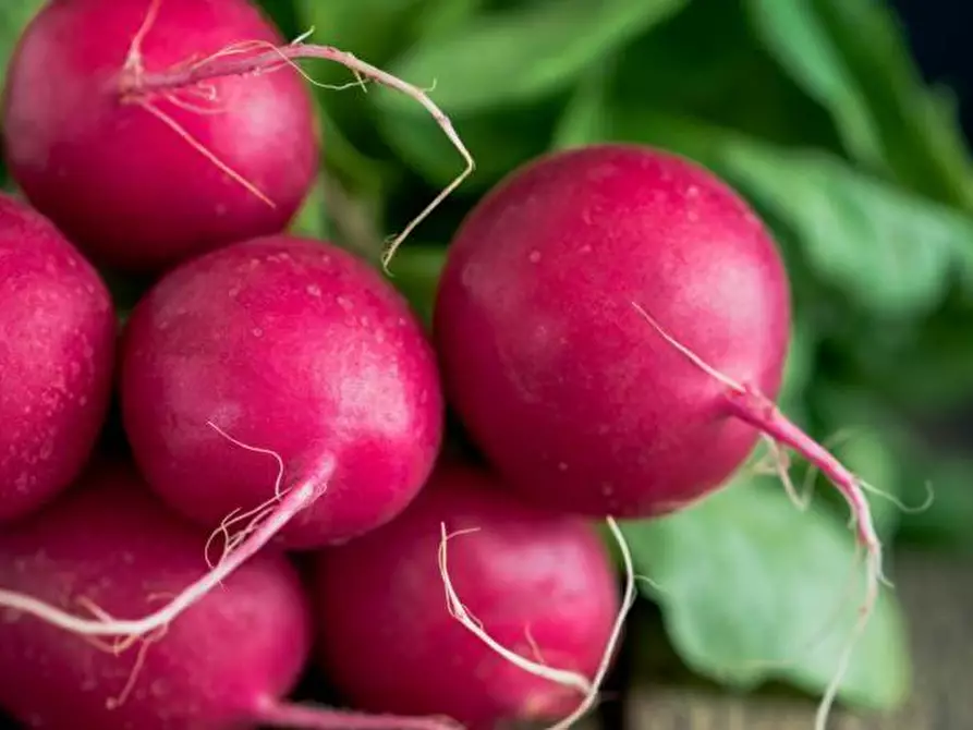 Immagine 7 di Alimentari in vendita  a Empoli