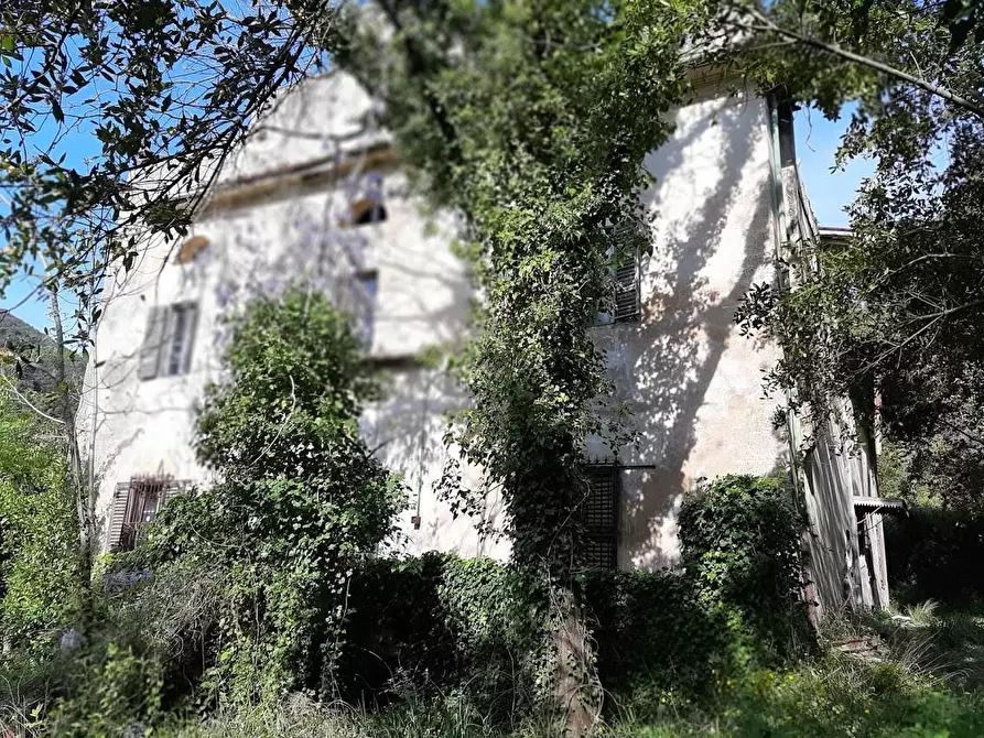 Immagine 5 di Villa in vendita  a San Giuliano Terme
