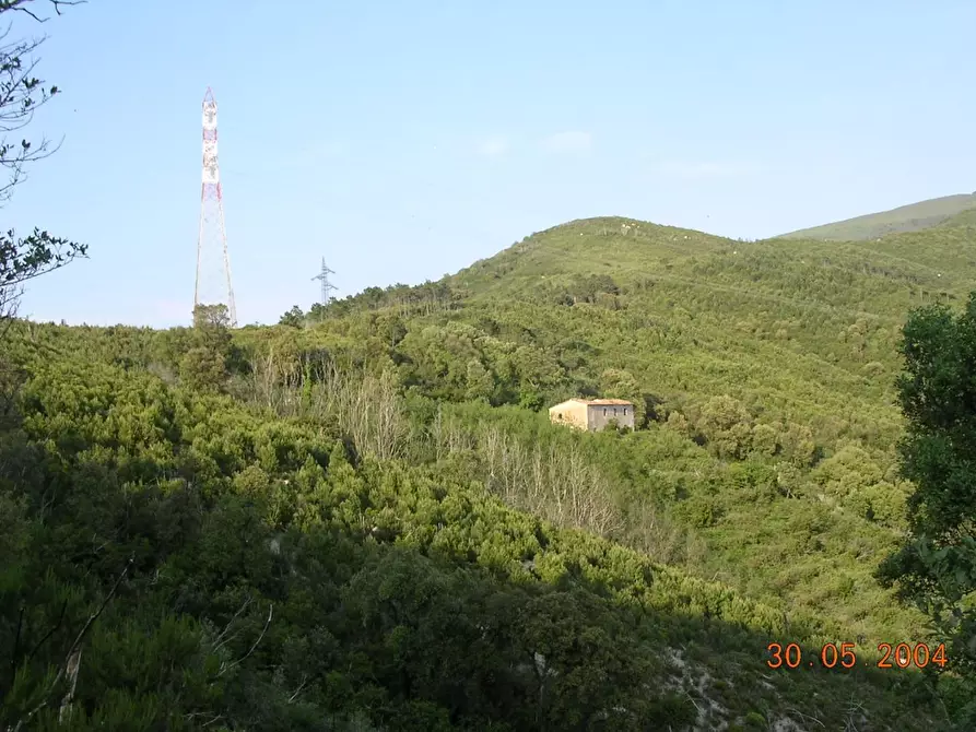 Immagine 11 di Villa in vendita  a San Giuliano Terme