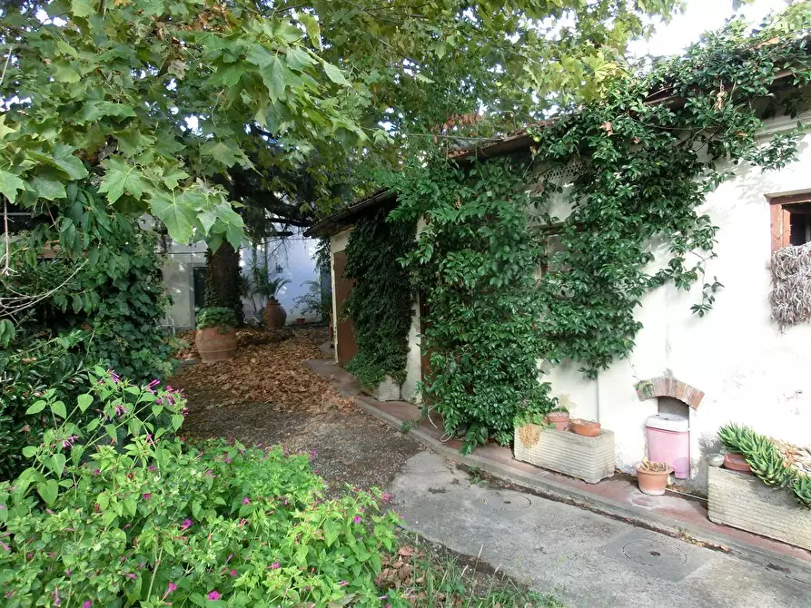 Immagine 8 di Terratetto in vendita  a Cascina