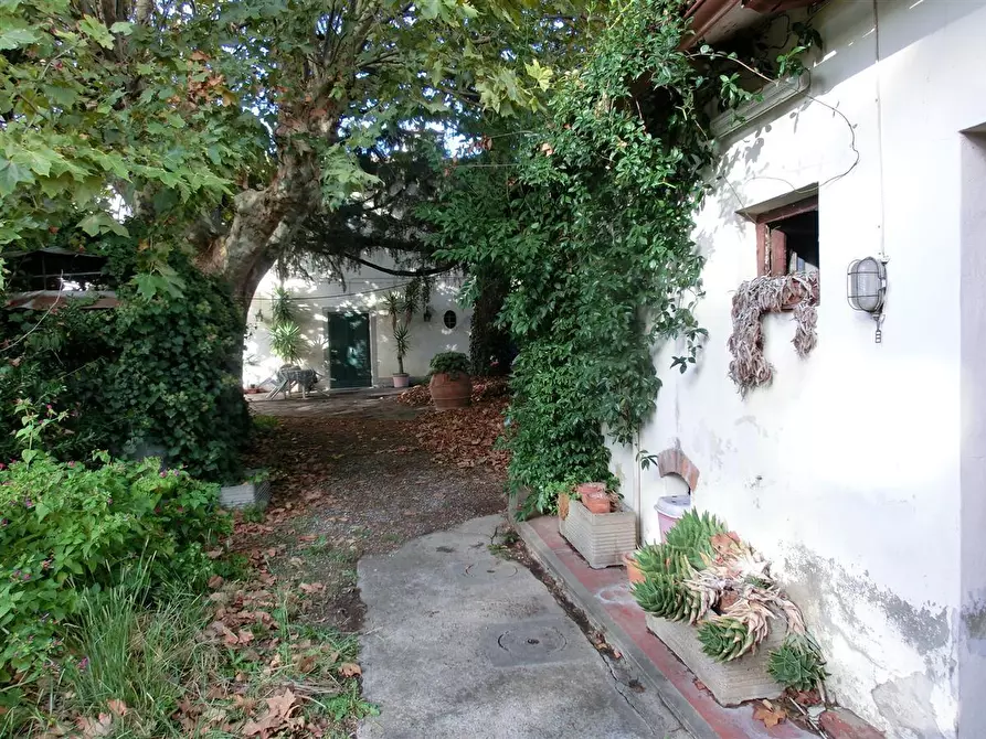 Immagine 9 di Terratetto in vendita  a Cascina